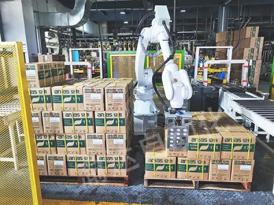 紙箱碼垛機(jī)器人